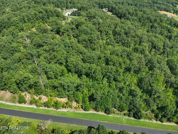 393 W Mountain Drive, Rockwood, TN 37854