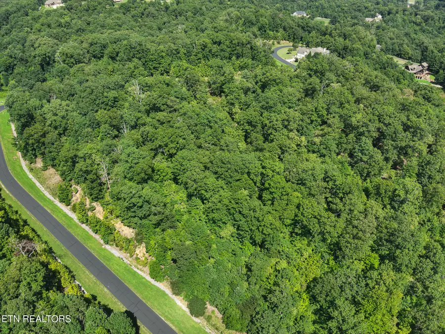 393 W Mountain Drive, Rockwood, TN 37854 - #2
