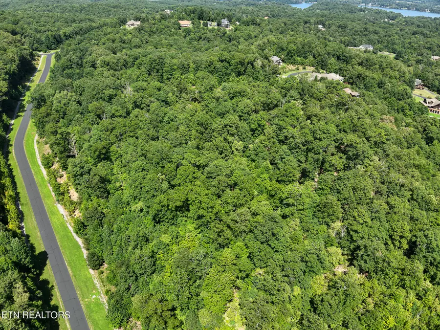 393 W Mountain Drive, Rockwood, TN 37854 - #3