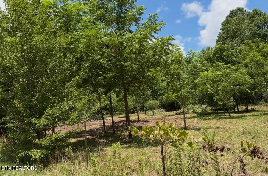 0 Valley Spring Rd, Rose Hill, VA 24281 - #2
