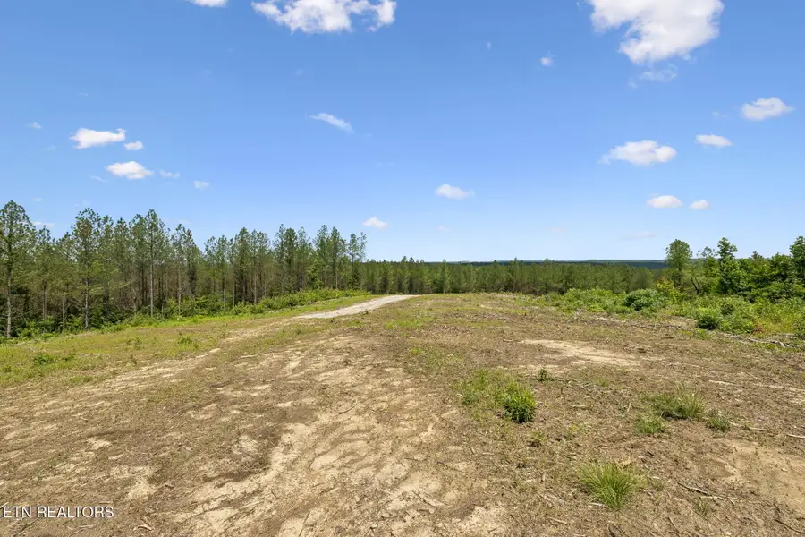 Nydeck Rd, Robbins, TN 37852 - #3