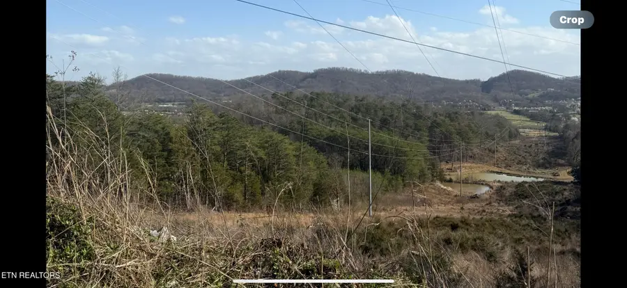 1372 Friends Station Rd, New Market, TN 37820 - #2