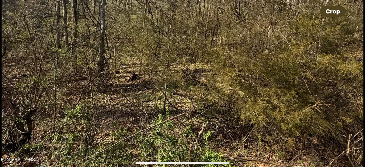 Friends Station Rd #044 029.00, New Market, TN 37820 - #1