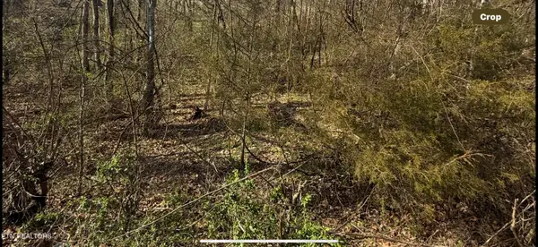 Friends Station Rd #044 029.00, New Market, TN 37820