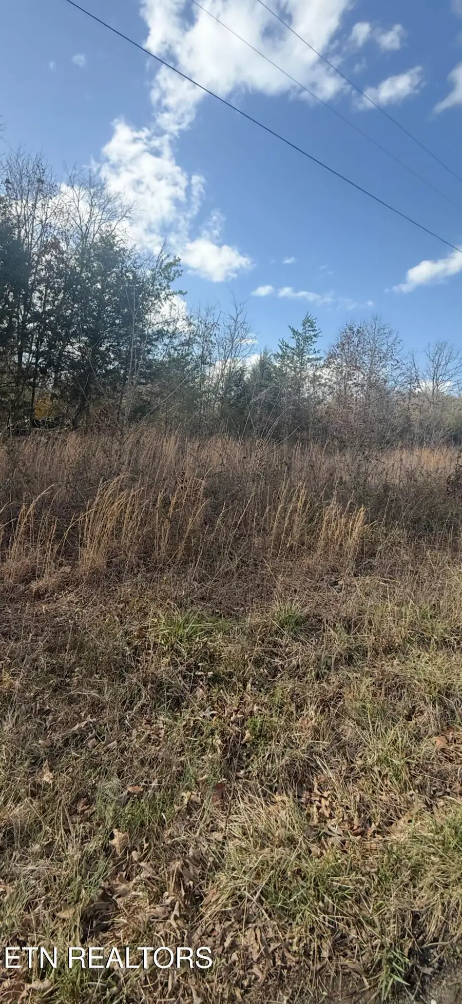 Friends Station Rd #044 030.01, New Market, TN 37820 - #3