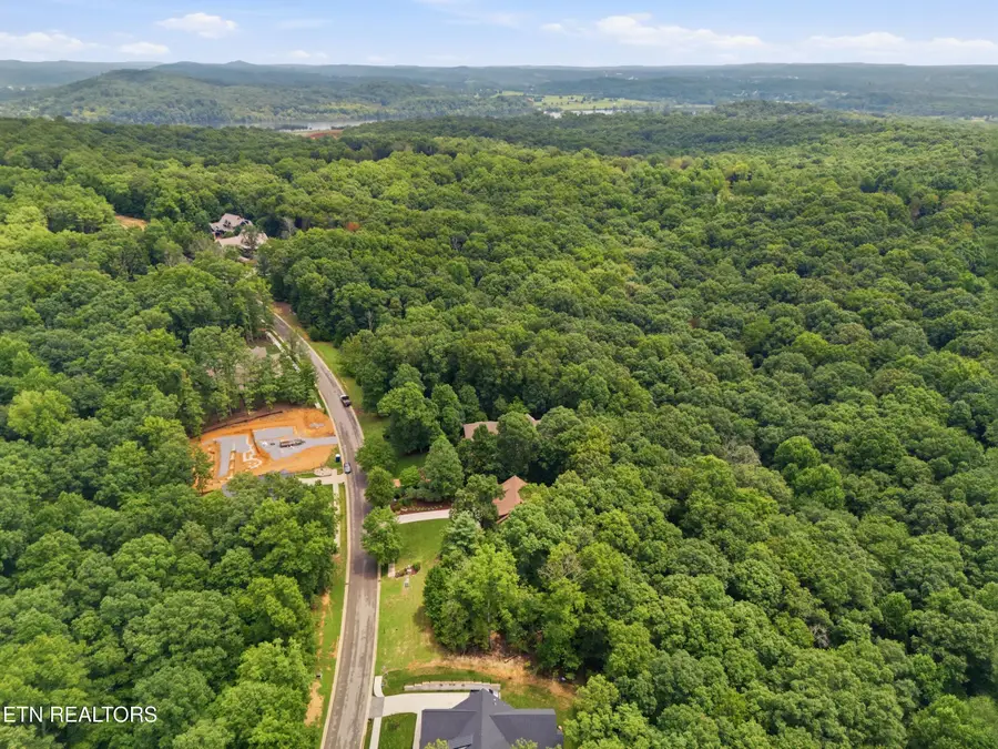 1004 Old Dogwood Tr, Loudon, TN 37774 - #3