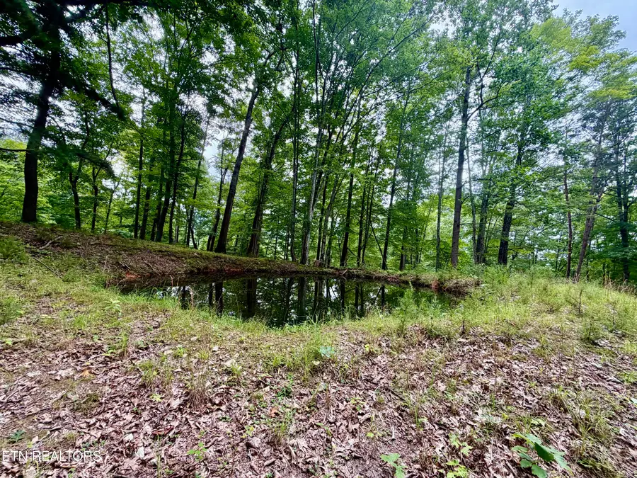 1545 Estes Rd, Tazewell, TN 37879 - #2