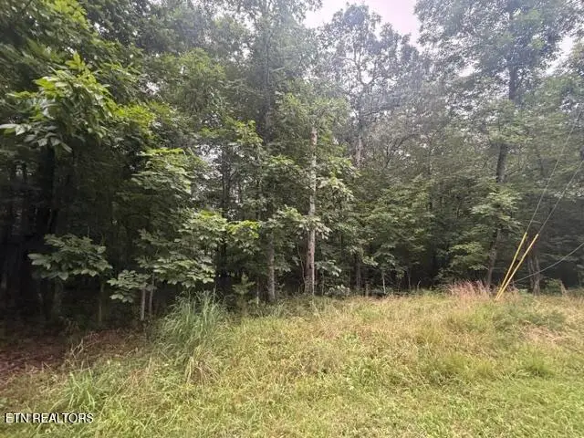 3333 Warpath Drive, Crossville, TN 38572 - #1