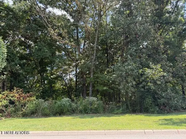 4126 Legends Way, Maryville, TN 37801 - #1