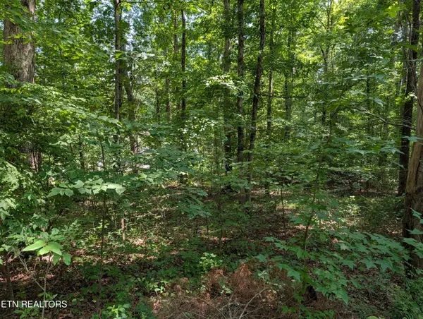 White St #31, Rockwood, TN 37854