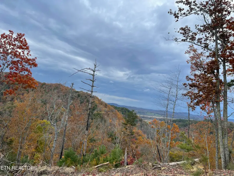 157 Quarry Creek Rd #Lot 5, Tellico Plains, TN 37385 - #2