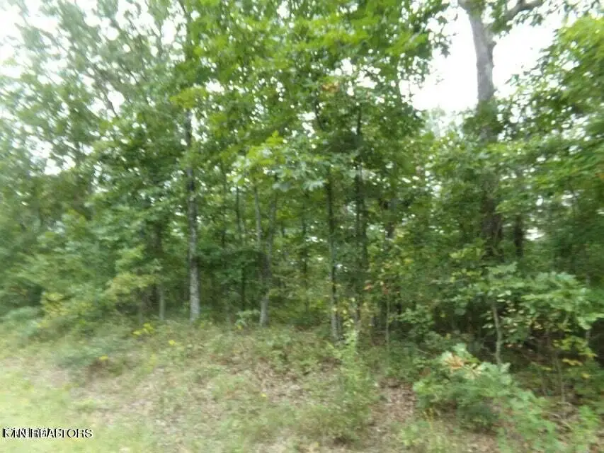 5105 Yurch Drive, Crossville, TN 38572 - #2