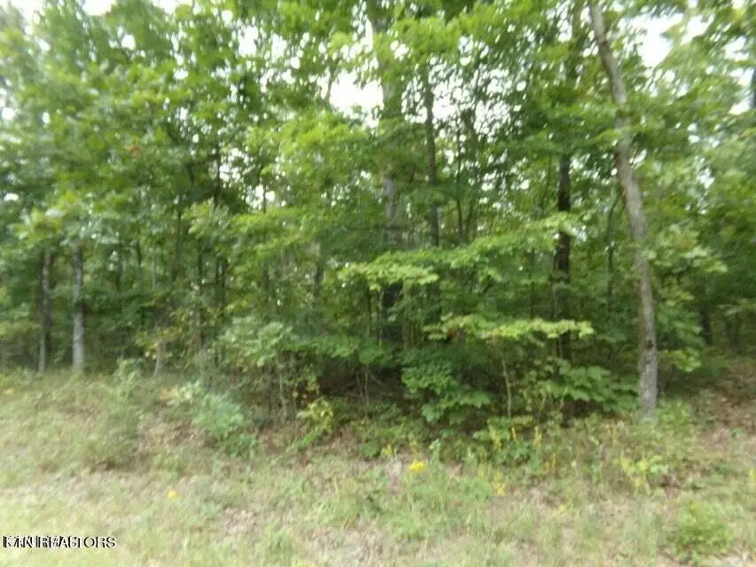 5105 Yurch Drive, Crossville, TN 38572 - #3