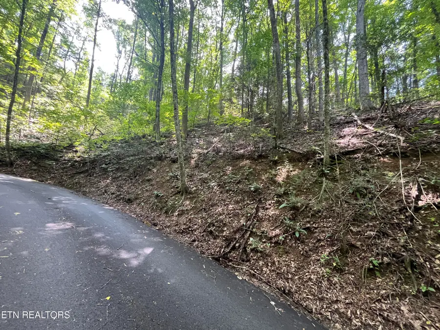 Lot 334 Ridgefield Drive, Sevierville, TN 37876 - #3