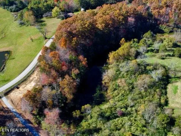 2036 Helenwood Detour Rd, Helenwood, TN 37755 - #1