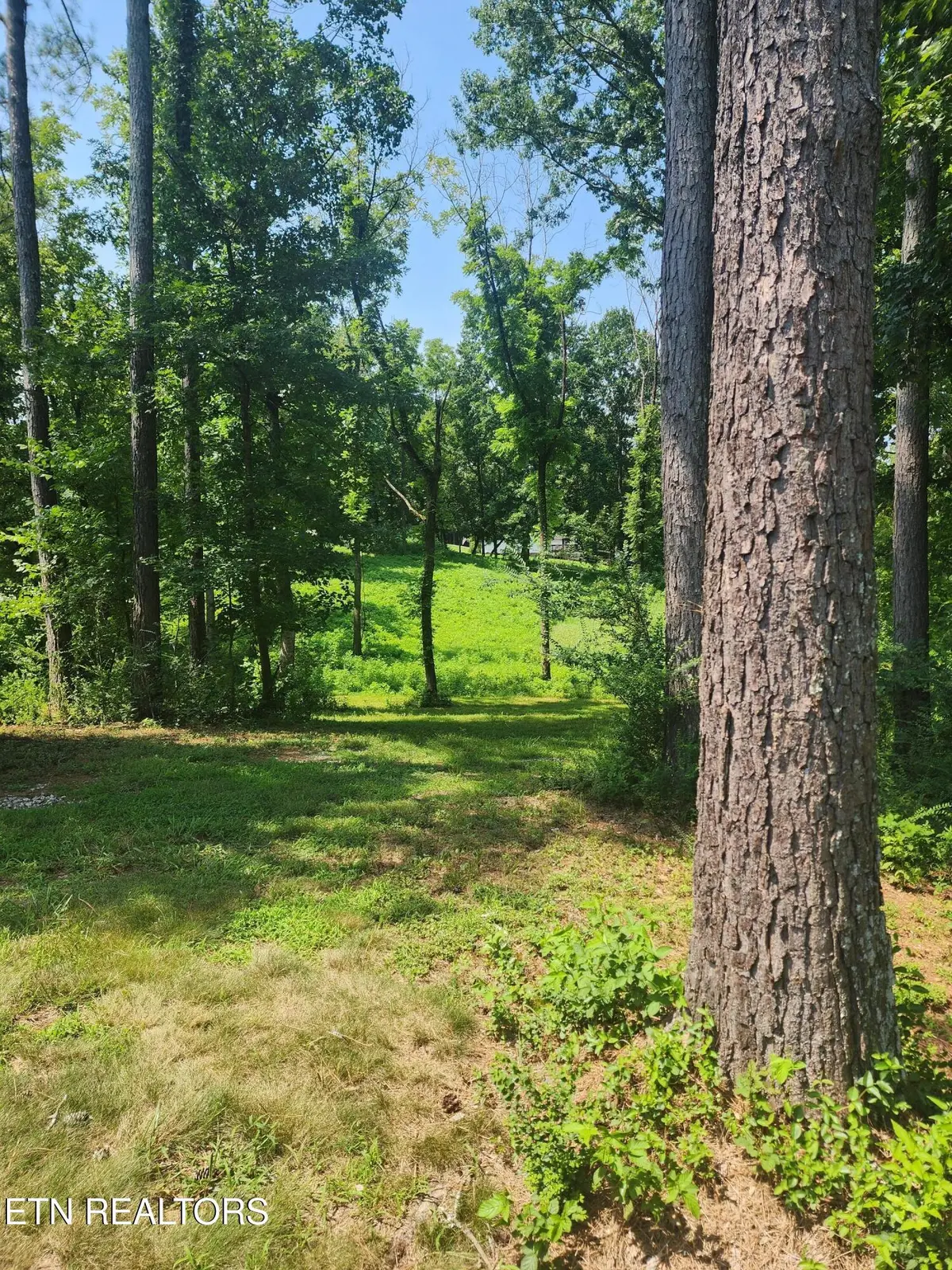 2255 Hubbard Rd, Loudon, TN 37774 - #1