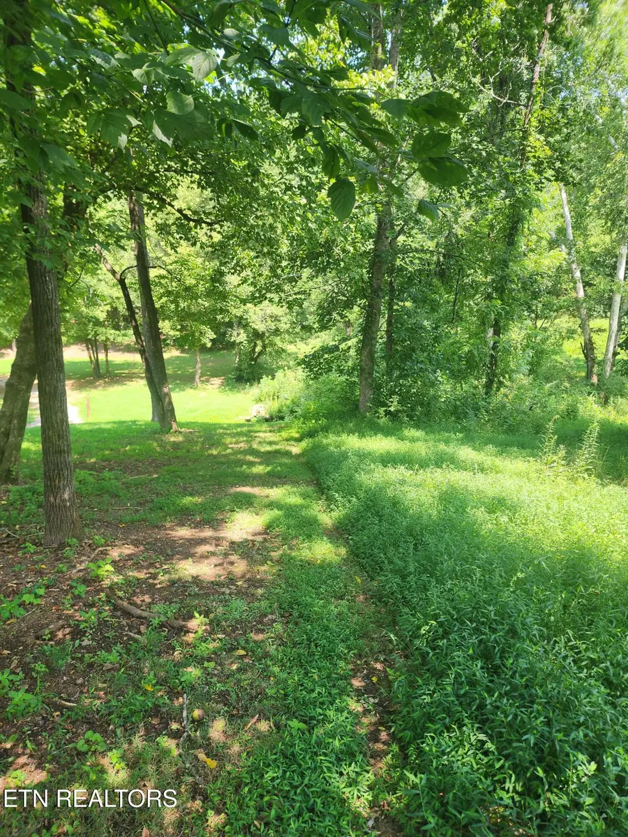 2255 Hubbard Rd, Loudon, TN 37774 - #3