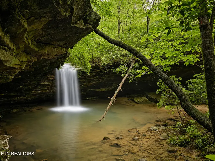 Dripping Springs Rd, Monterey, TN 38574 - #3