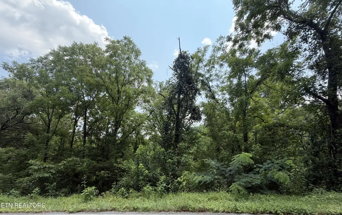 1059 Kellum Creek Rd, Sevierville, TN 37876 - #1