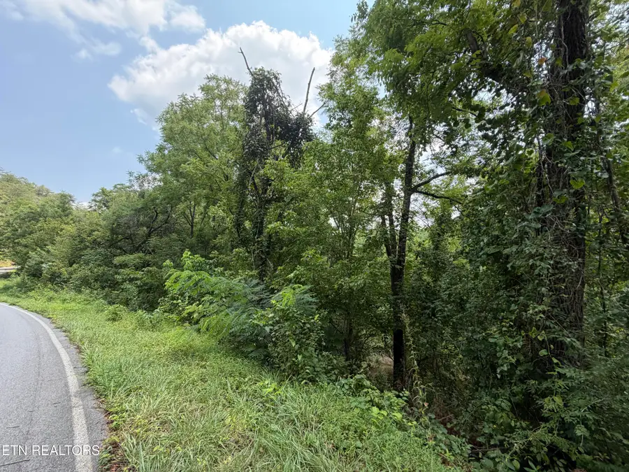 1059 Kellum Creek Rd, Sevierville, TN 37876 - #3