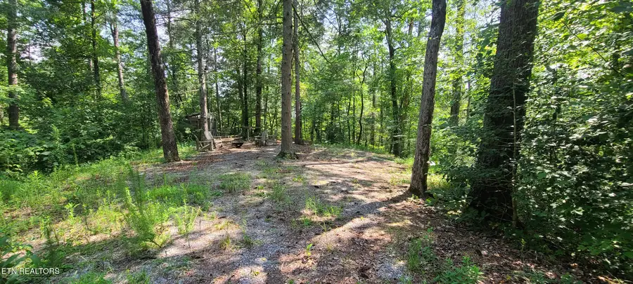 1011 Carrs Creek Rd, Townsend, TN 37882 - #2