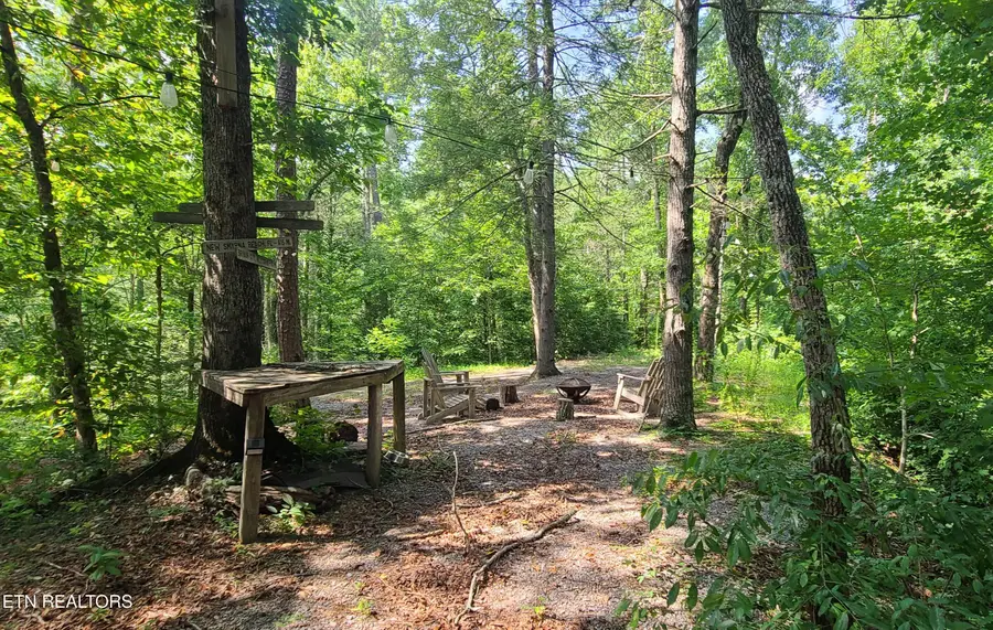 1011 Carrs Creek Rd, Townsend, TN 37882 - #3