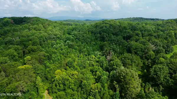 W Raccoon Valley Drive, Heiskell, TN 37754