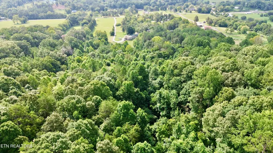 W Raccoon Valley Drive, Heiskell, TN 37754 - #3