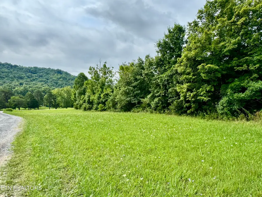 1717 W Raccoon Valley Drive, Heiskell, TN 37754 - #2