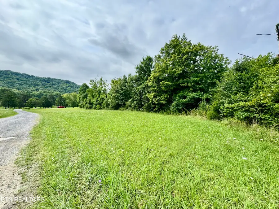1717 W Raccoon Valley Drive, Heiskell, TN 37754 - #3