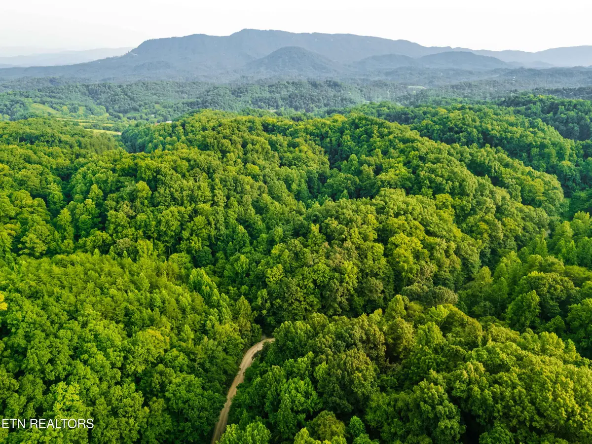 0 Long Branch Rd, Seymour, TN 37865 - #1
