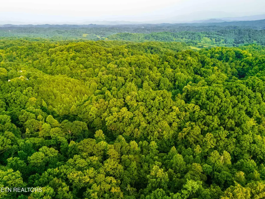 0 Long Branch Rd, Seymour, TN 37865 - #3