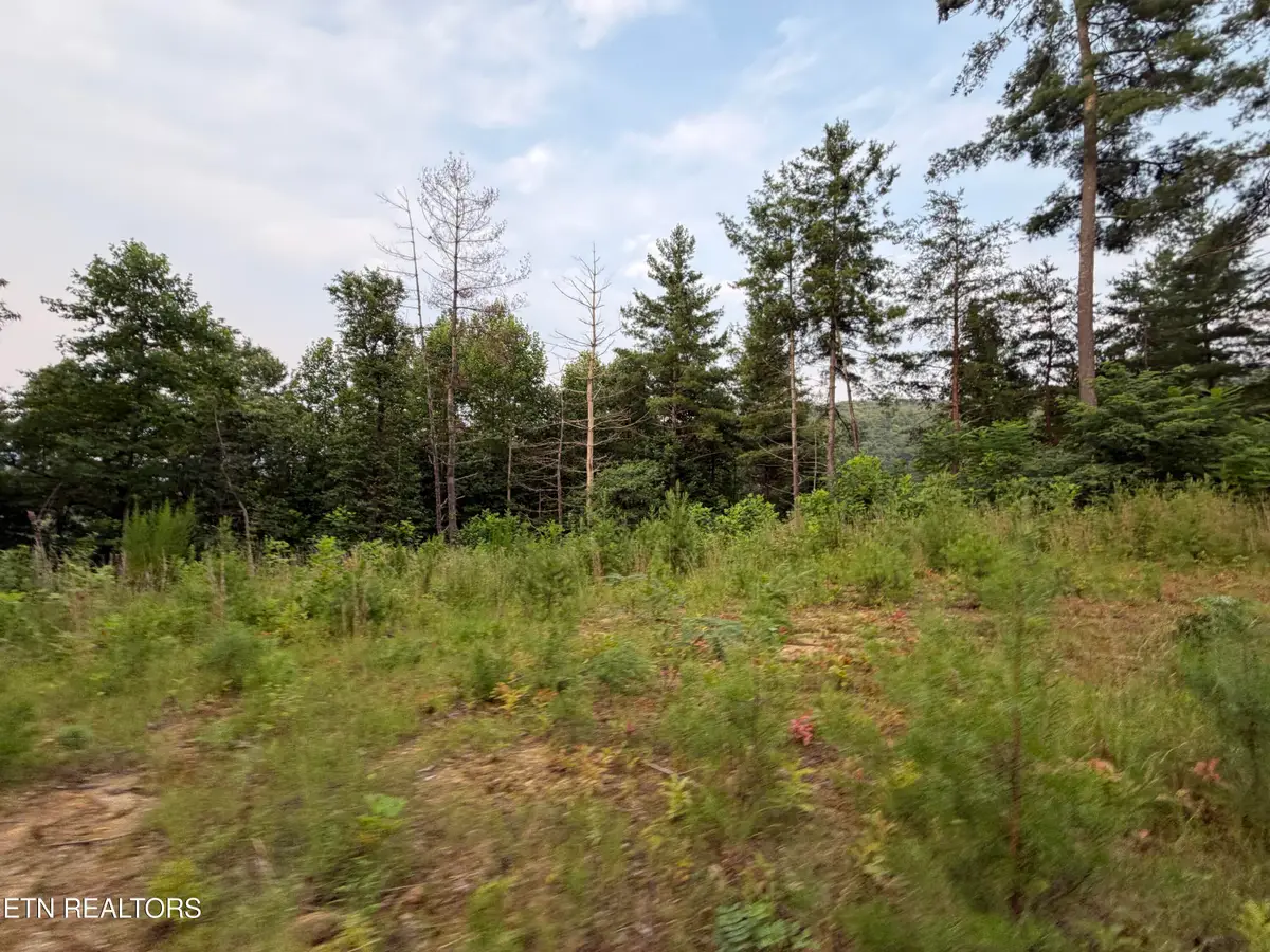 3739 Green Corner Rd, Hartford, TN 37753 - #1