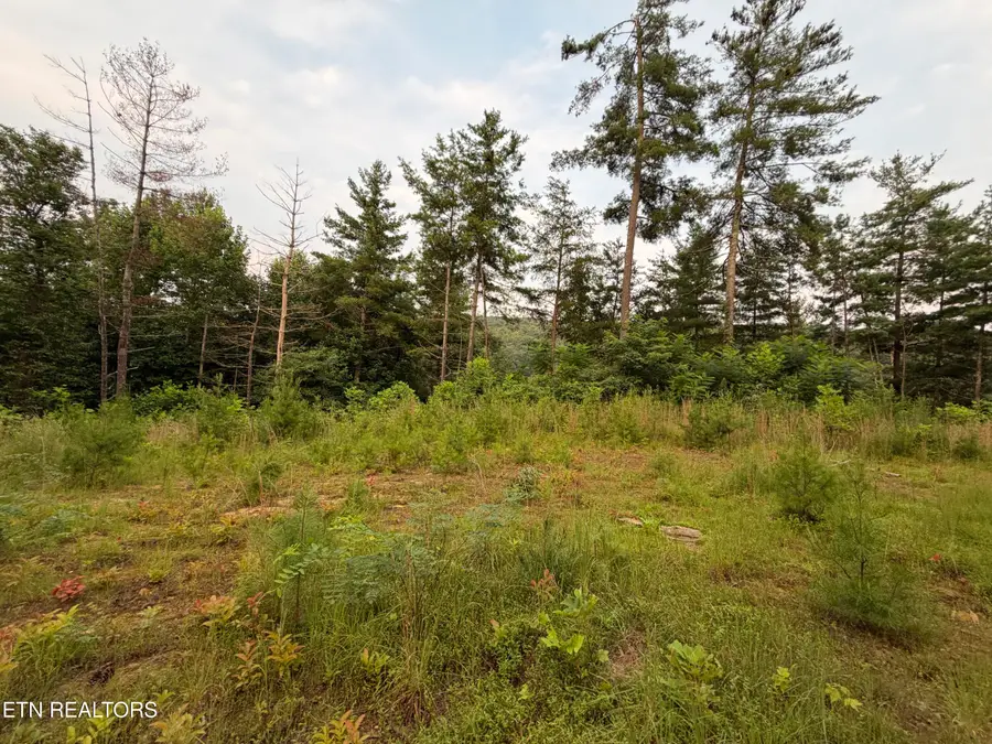 3739 Green Corner Rd, Hartford, TN 37753 - #3