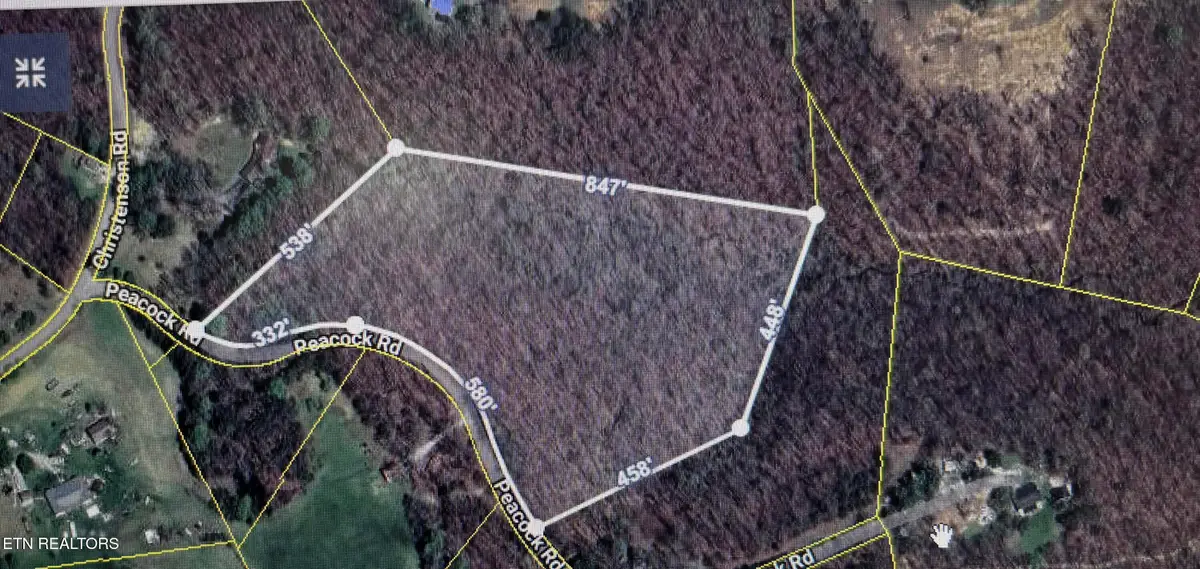 Peacock Rd, Deer Lodge, TN 37726 - #1