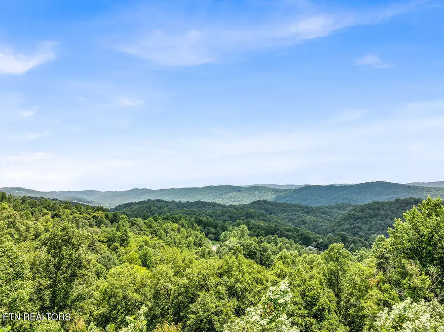 Lot 453 Silver Trl, New Tazewell, TN 37825 - #2