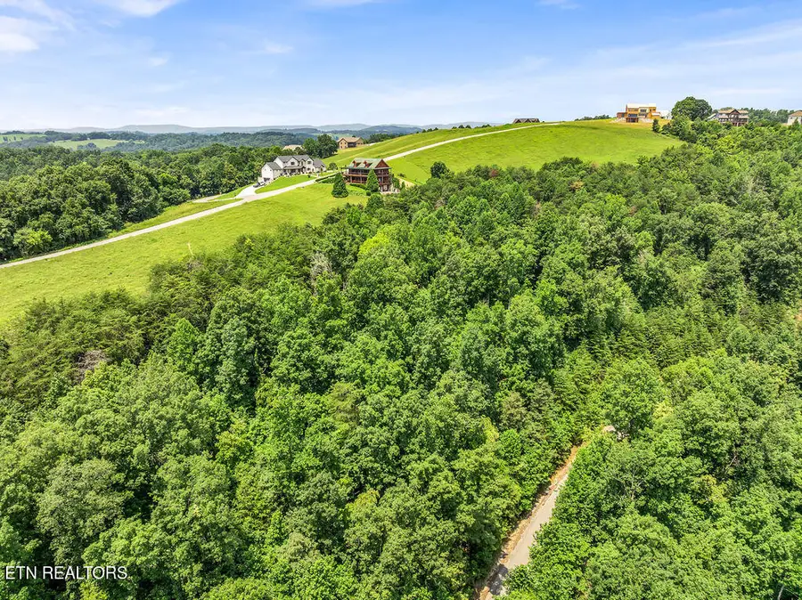 Lot 453 Silver Trl, New Tazewell, TN 37825 - #3