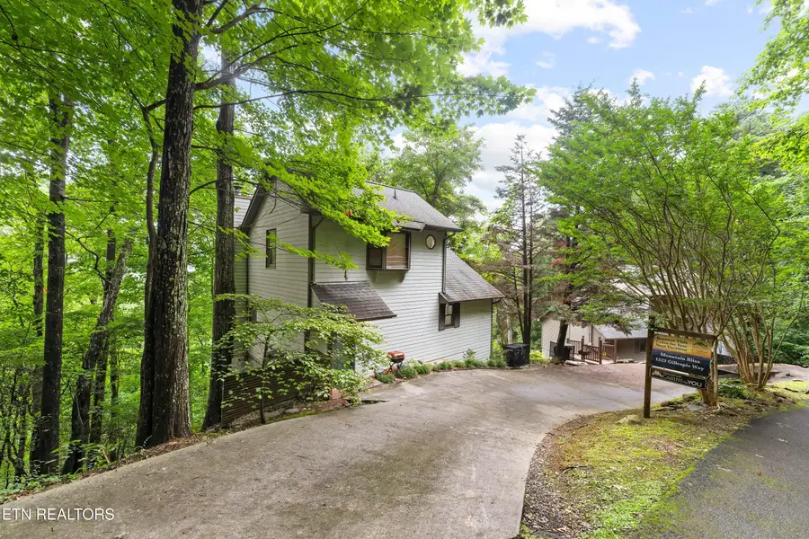 1523 Gillespie Way, Gatlinburg, TN 37738 - #2