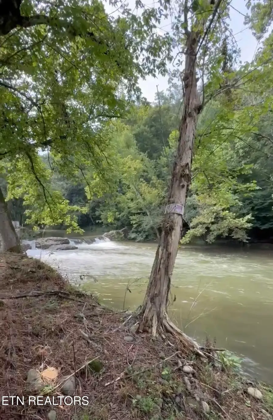 153 Padgett Mill Rd, Cosby, TN 37722 - #3