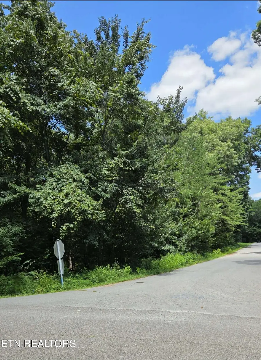 Carrie Drive, Crossville, TN 38572 - #3
