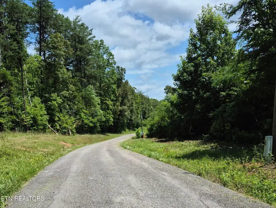 Boiling Springs Rd, Vonore, TN 37885 - #2