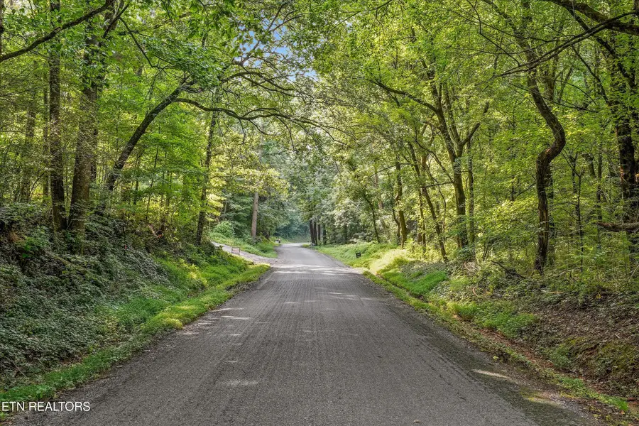 L-5 Randolph Fridley Rd, Sweetwater, TN 37874 - #2