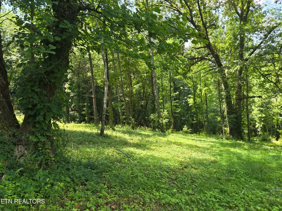511 Harper St St, Loudon, TN 37774 - #2
