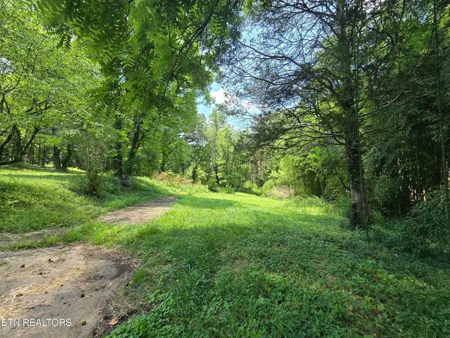 511 Harper St St, Loudon, TN 37774 - #3