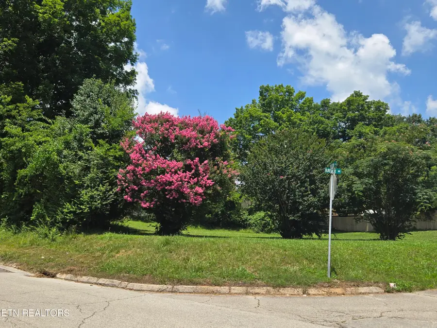 Rayder Ave, Loudon, TN 37774 - #3