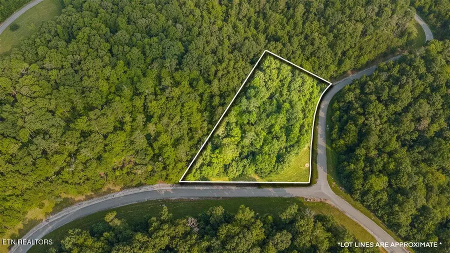 177 Hickory Way, Lafollette, TN 37766 - #3