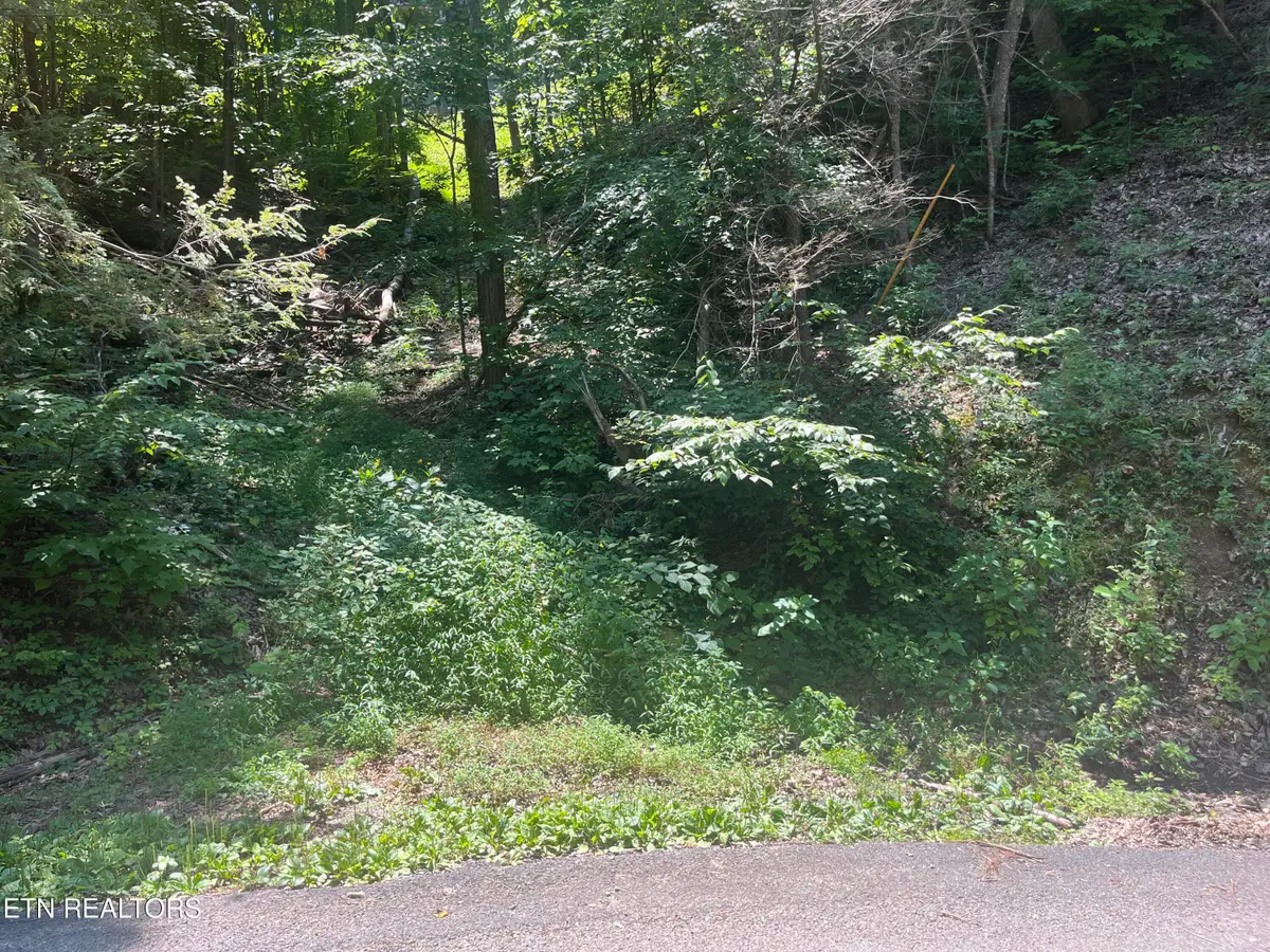 Lot 331 Ridgefield Drive, Sevierville, TN 37876 - #1