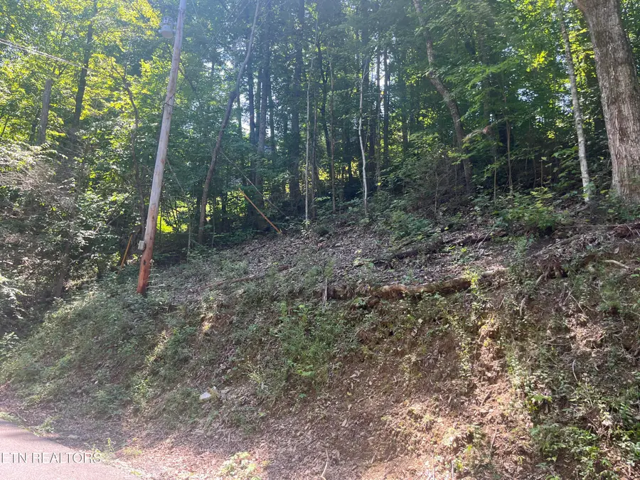 Lot 331 Ridgefield Drive, Sevierville, TN 37876 - #3