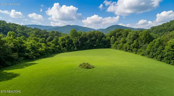 Par 047.00 Highway 73, Newport, TN 37821