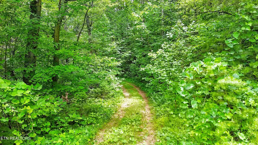 LOT 50 S Highway 340, Parrottsville, TN 37843 - #2
